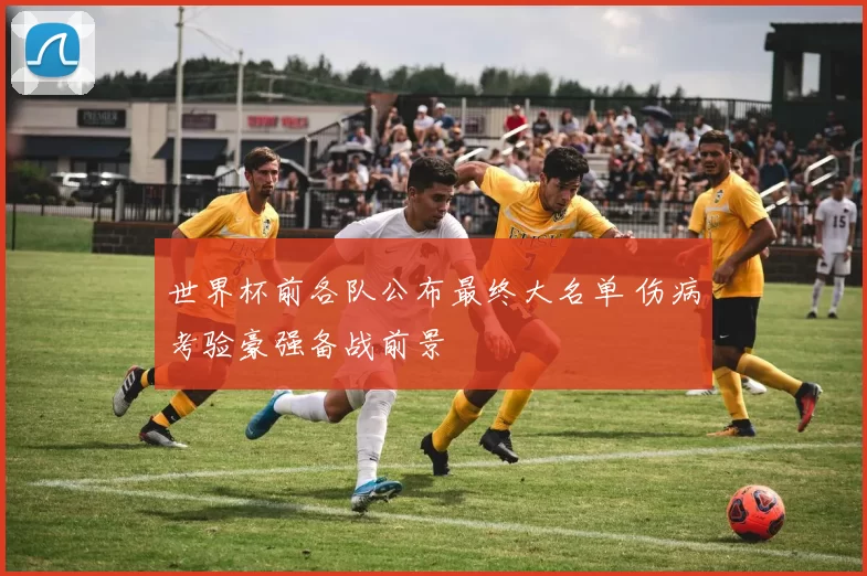 世界杯前各队公布最终大名单 伤病考验豪强备战前景