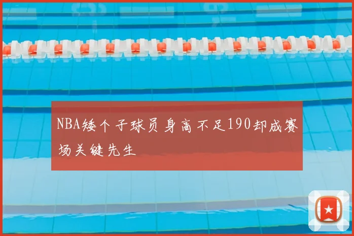NBA矮个子球员身高不足190却成赛场关键先生