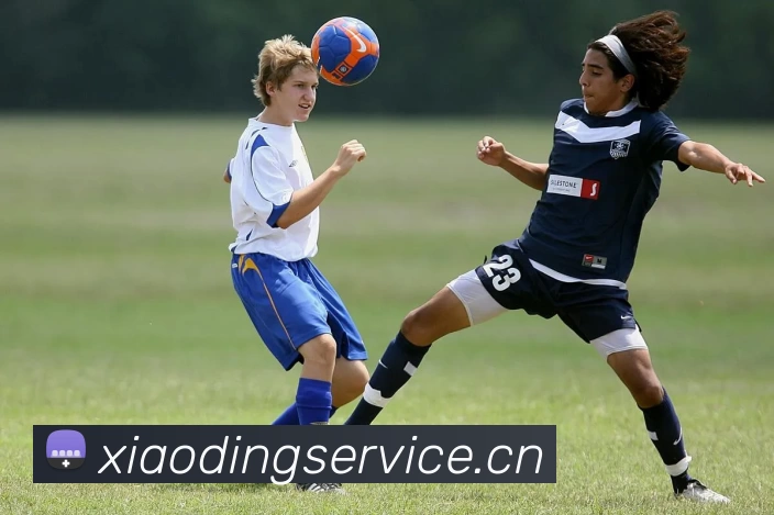 多媒体互动体验